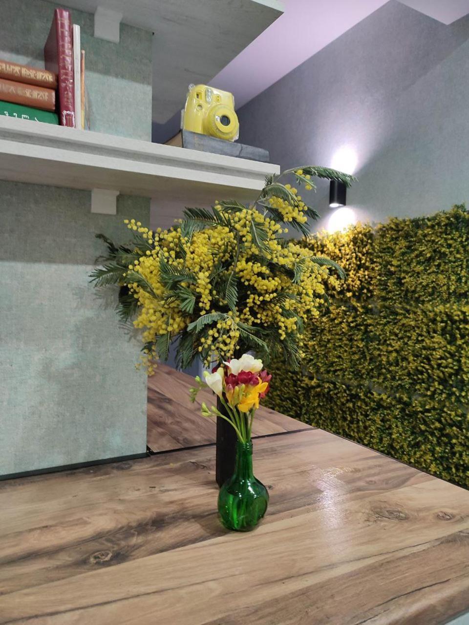 Round Garden Hotel 第比利斯 外观 照片